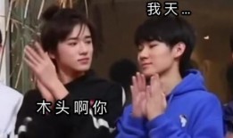 圈内人员爆料源轩,圈内风云再起，揭秘不为人知的幕后故事